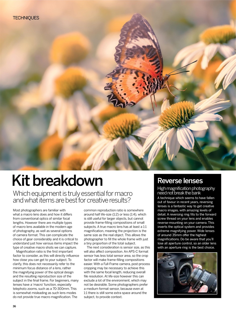 Digital Photographer Preview Pages