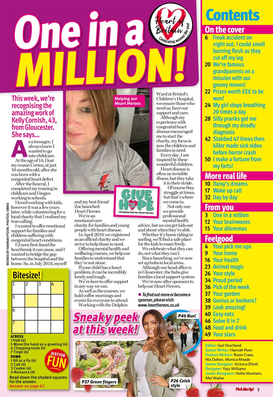 Pick Me Up Preview Pages