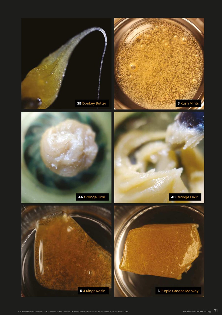 Weed World Preview Pages