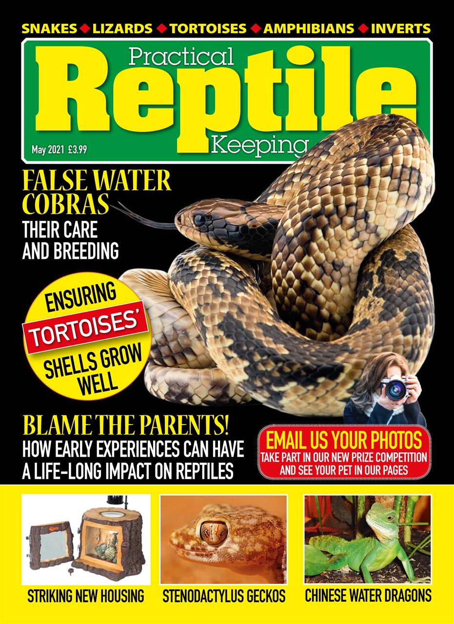 Practical Reptile Keeping Preview Pages