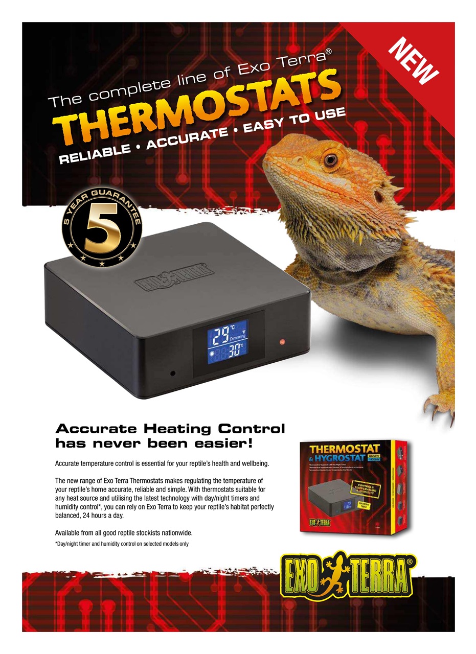 Practical Reptile Keeping Preview Pages