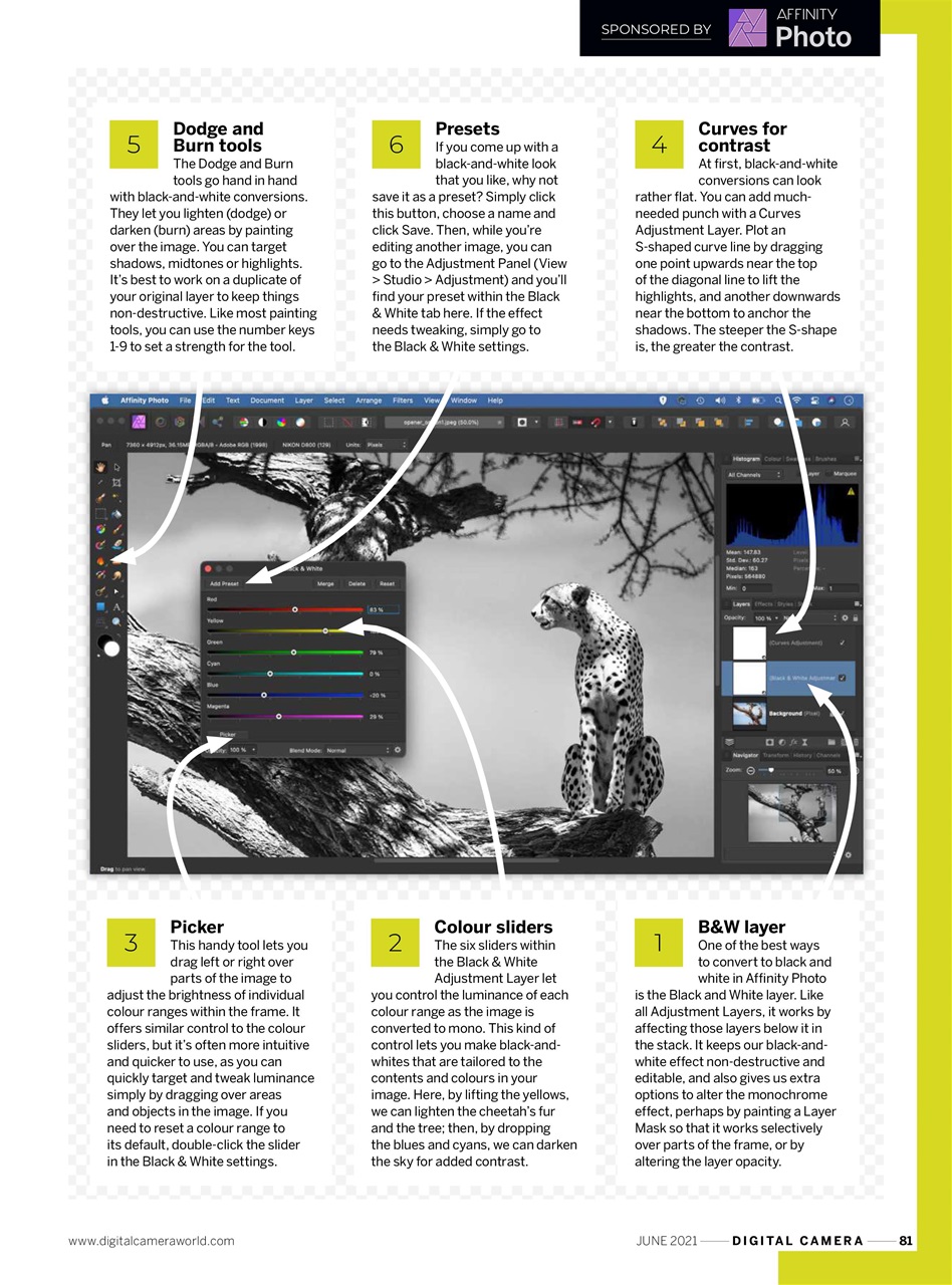 Digital Camera Magazine Preview Pages