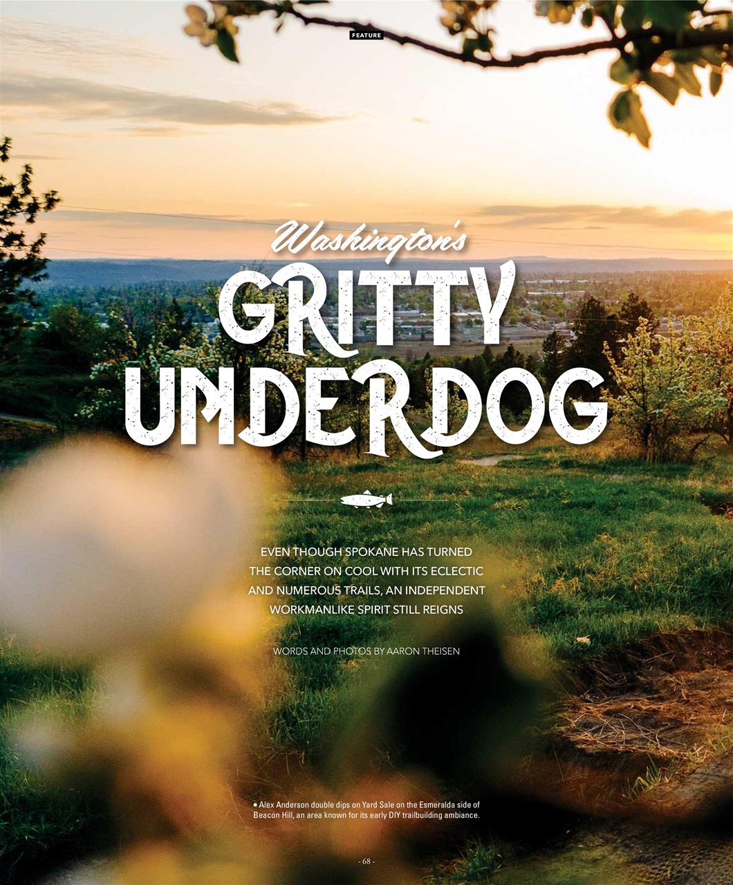 Mountain Flyer Preview Pages