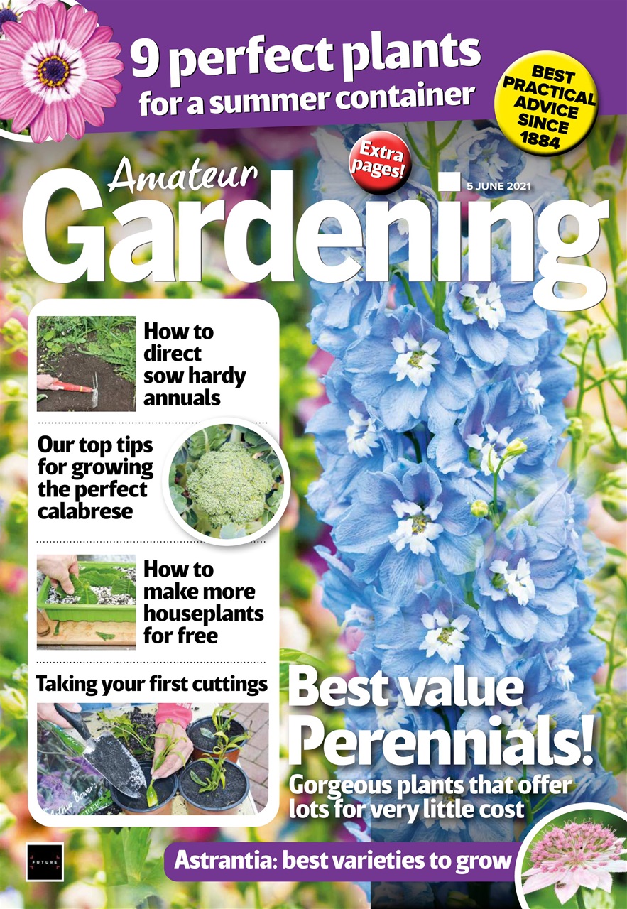Amateur Gardening Preview Pages