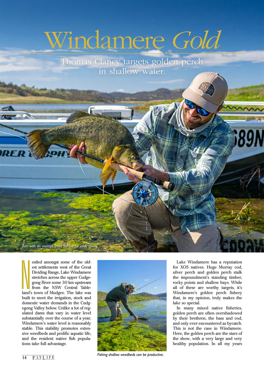 FlyLife Preview Pages