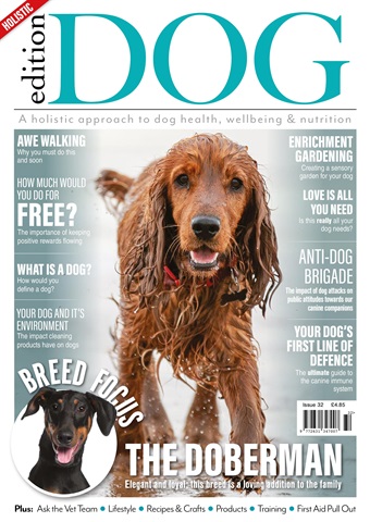 Edition Dog issue Issue 32