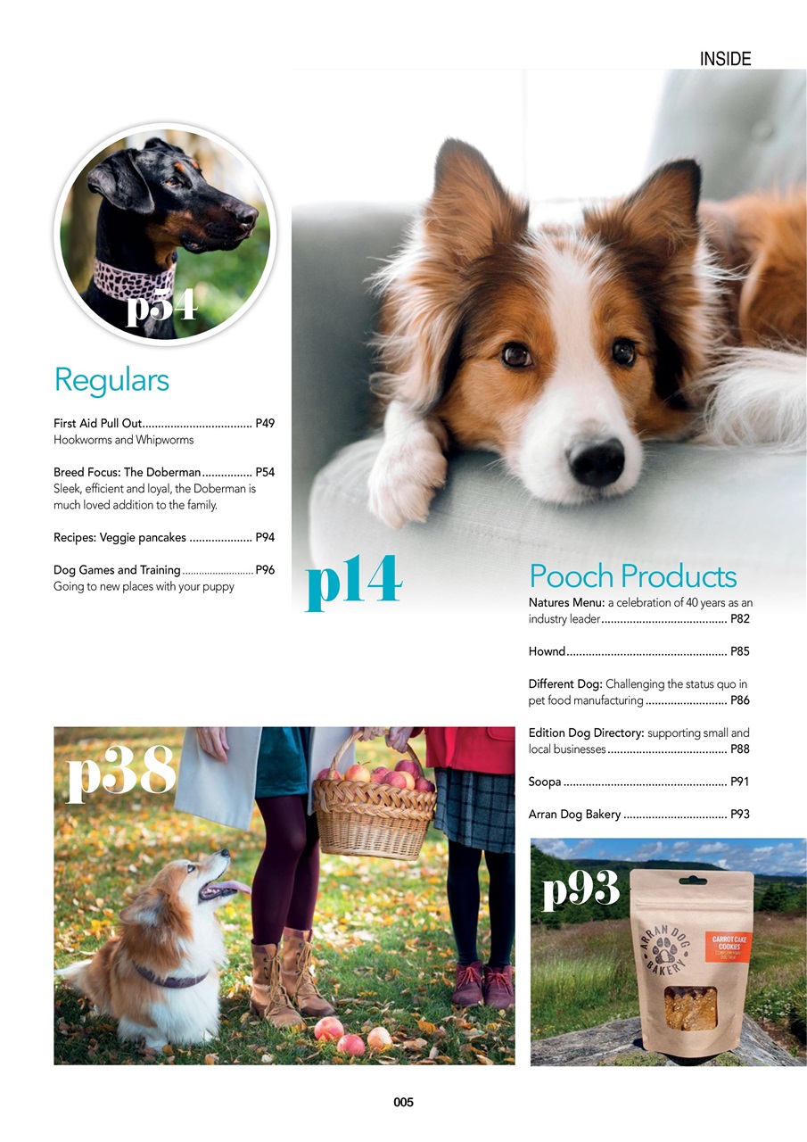 Edition Dog Preview Pages