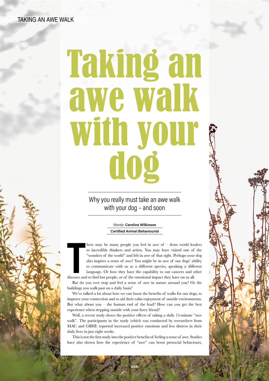 Edition Dog Preview Pages