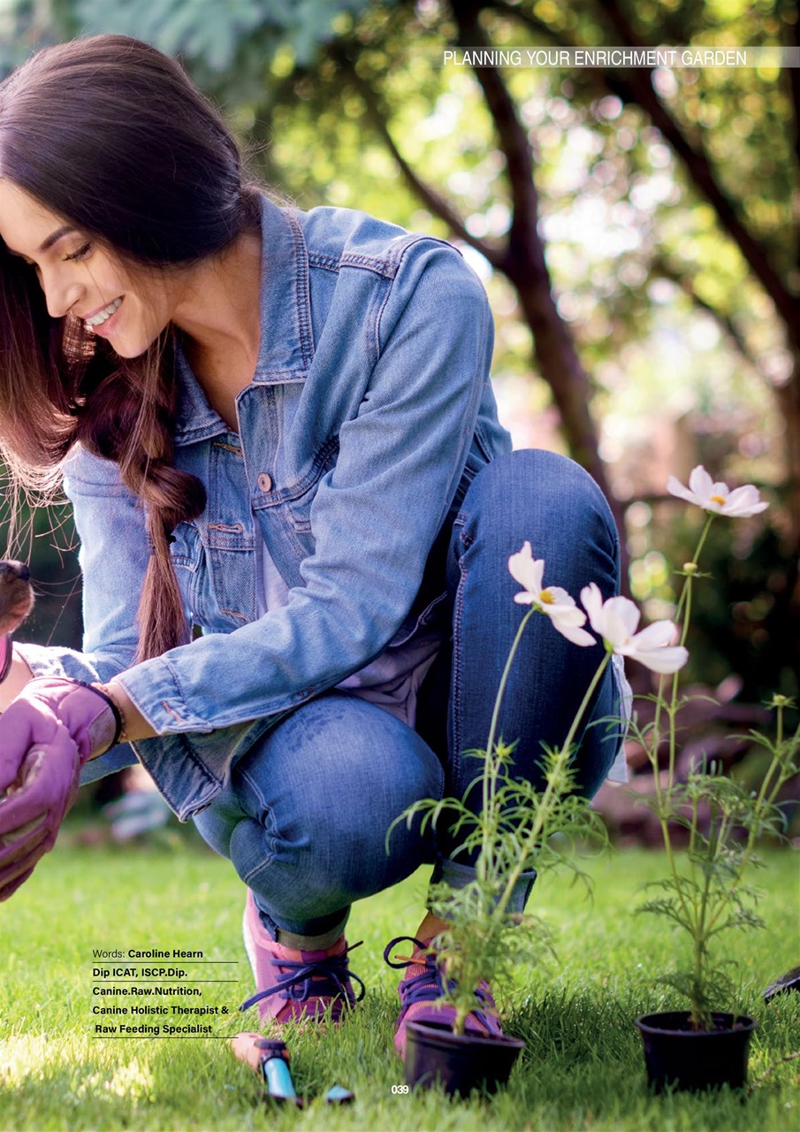 Edition Dog Preview Pages