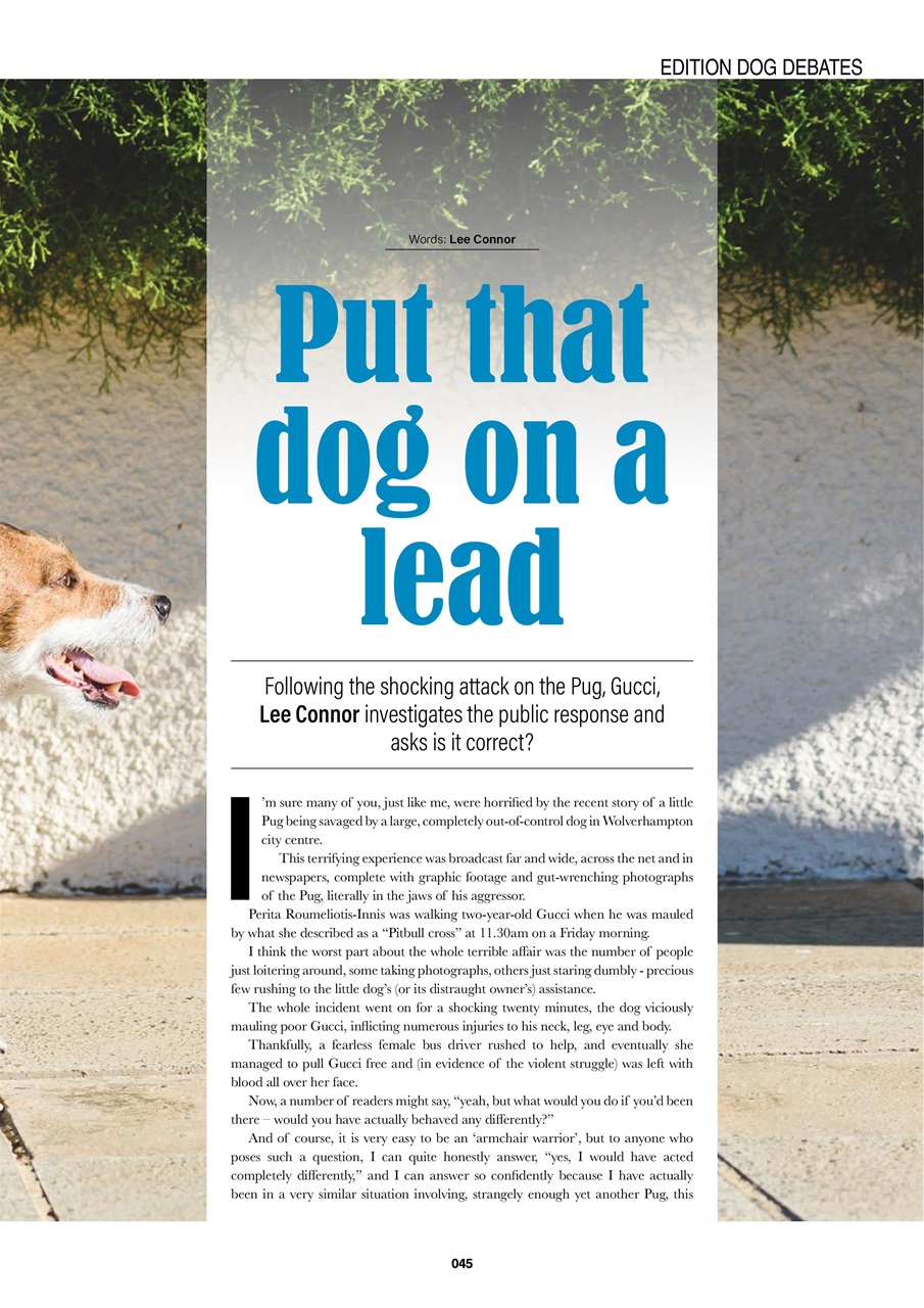 Edition Dog Preview Pages