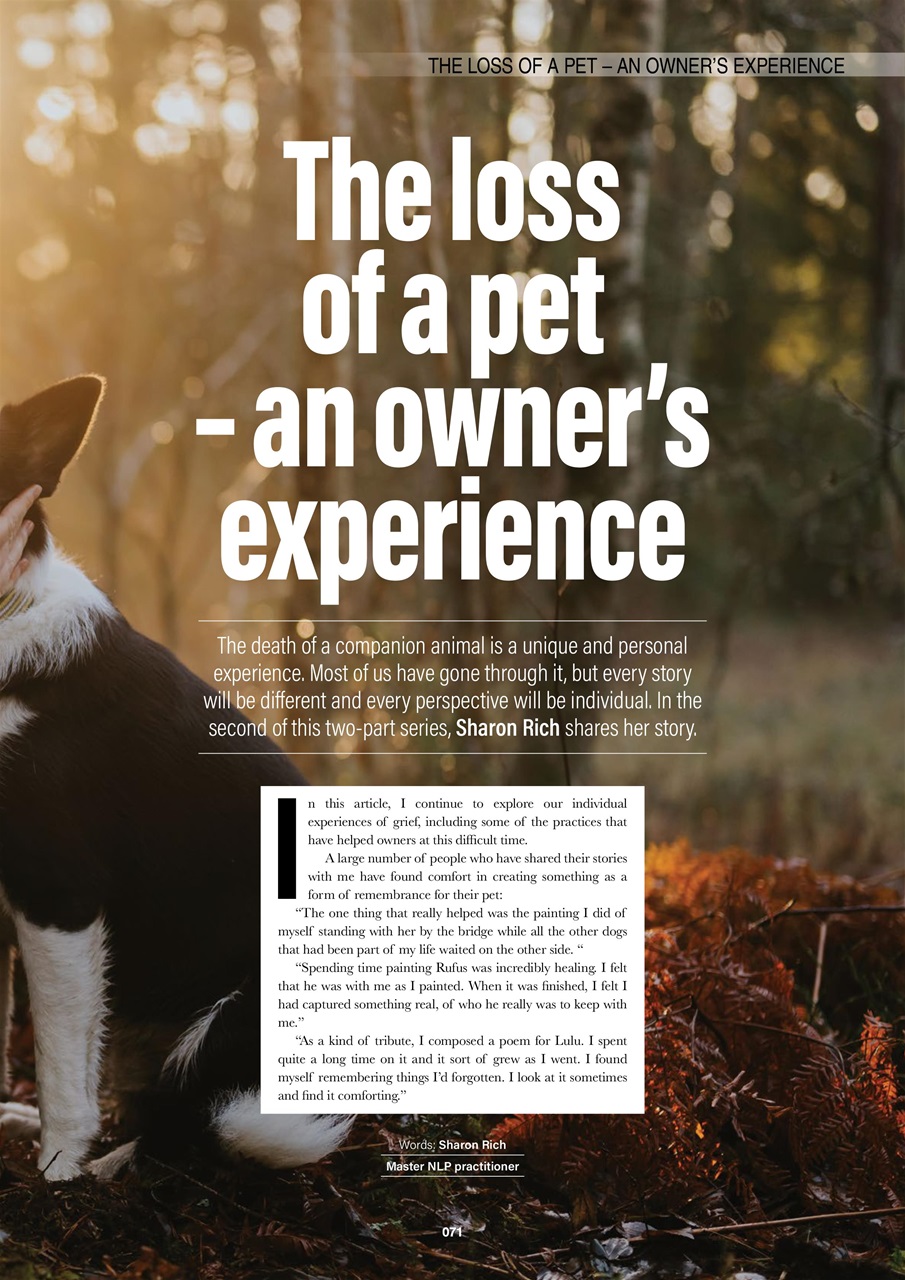 Edition Dog Preview Pages