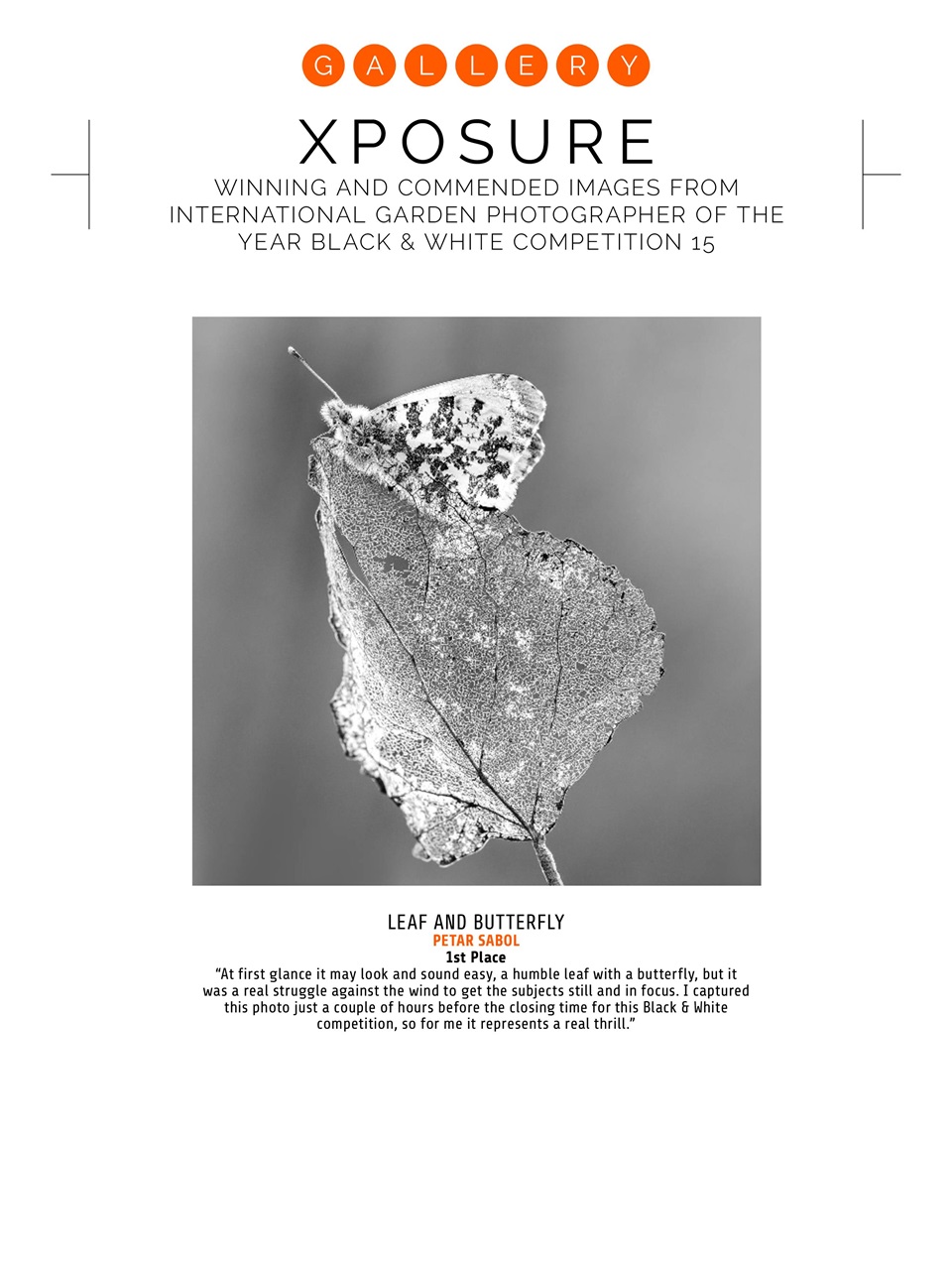 Photography Week Preview Pages