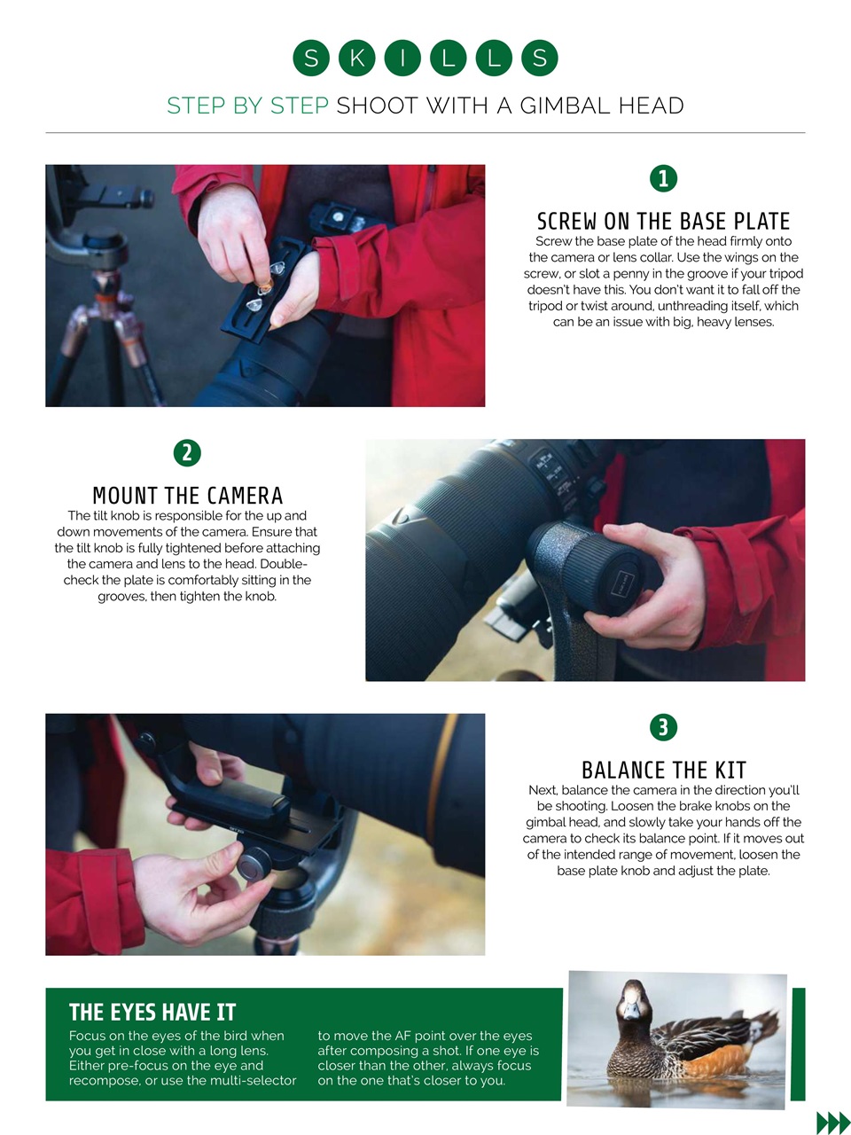 Photography Week Preview Pages