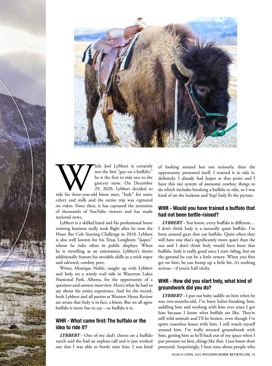 Western Horse Review Preview Pages
