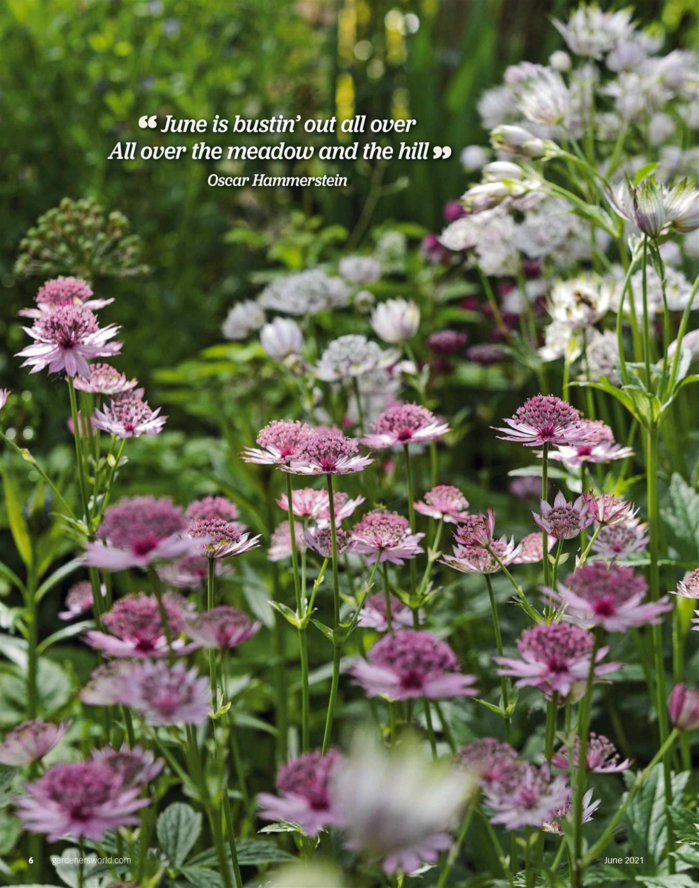 BBC Gardeners’ World Magazine Preview Pages