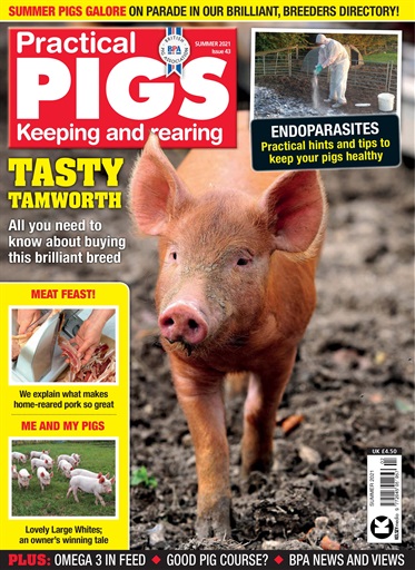 Practical Pigs issue 