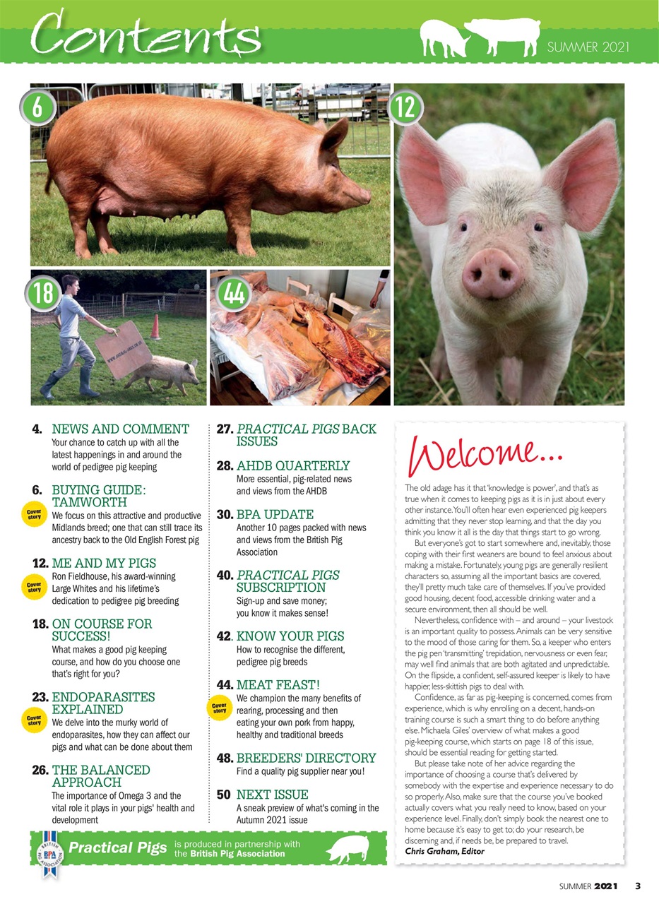 Practical Pigs Preview Pages