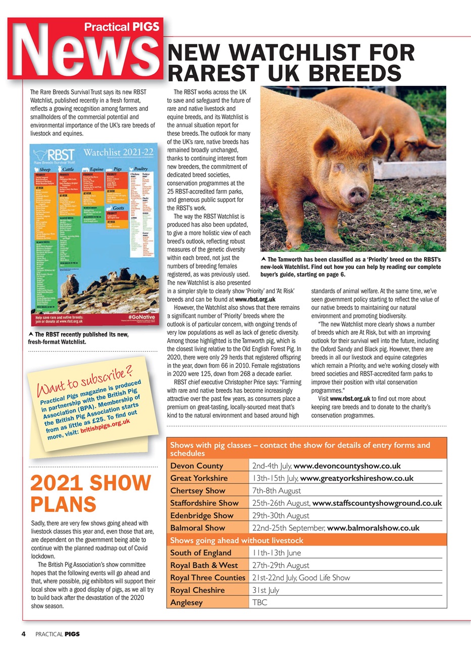 Practical Pigs Preview Pages