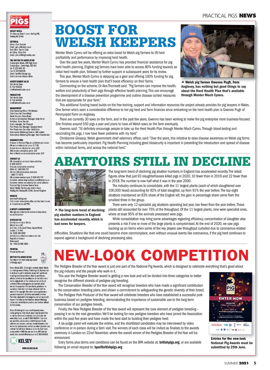 Practical Pigs Preview Pages