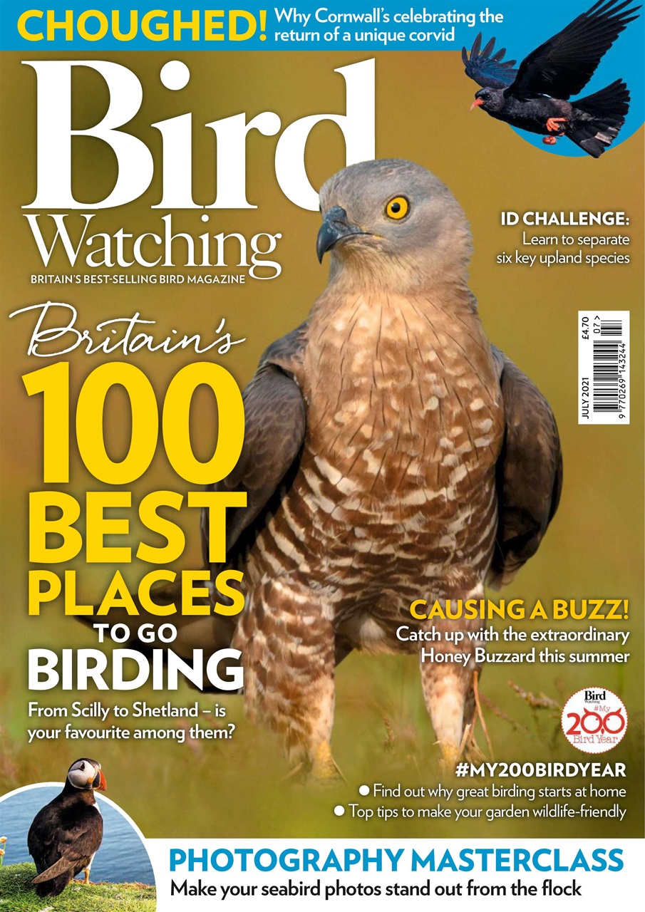 Bird Watching Preview Pages
