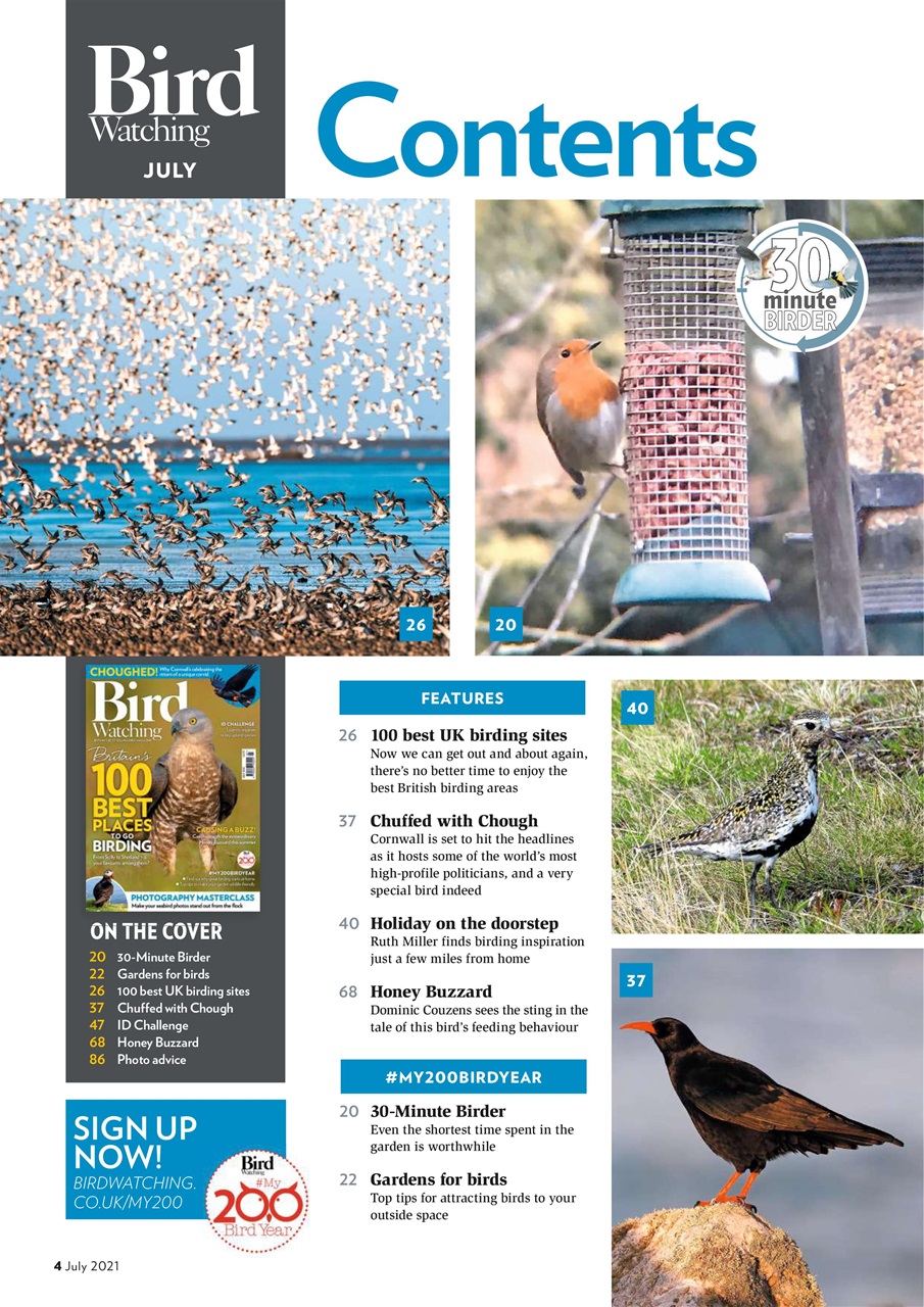 Bird Watching Preview Pages