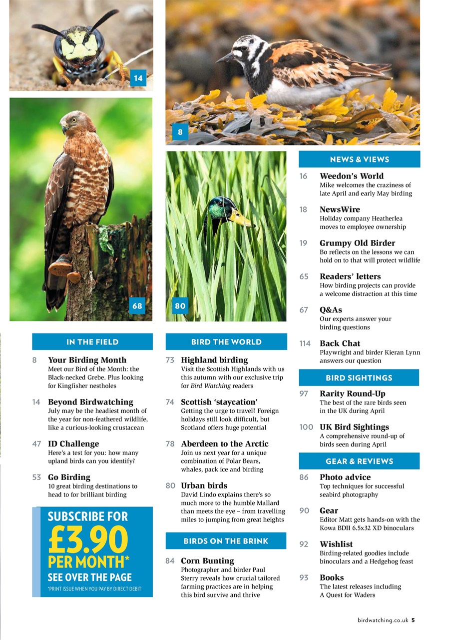 Bird Watching Preview Pages