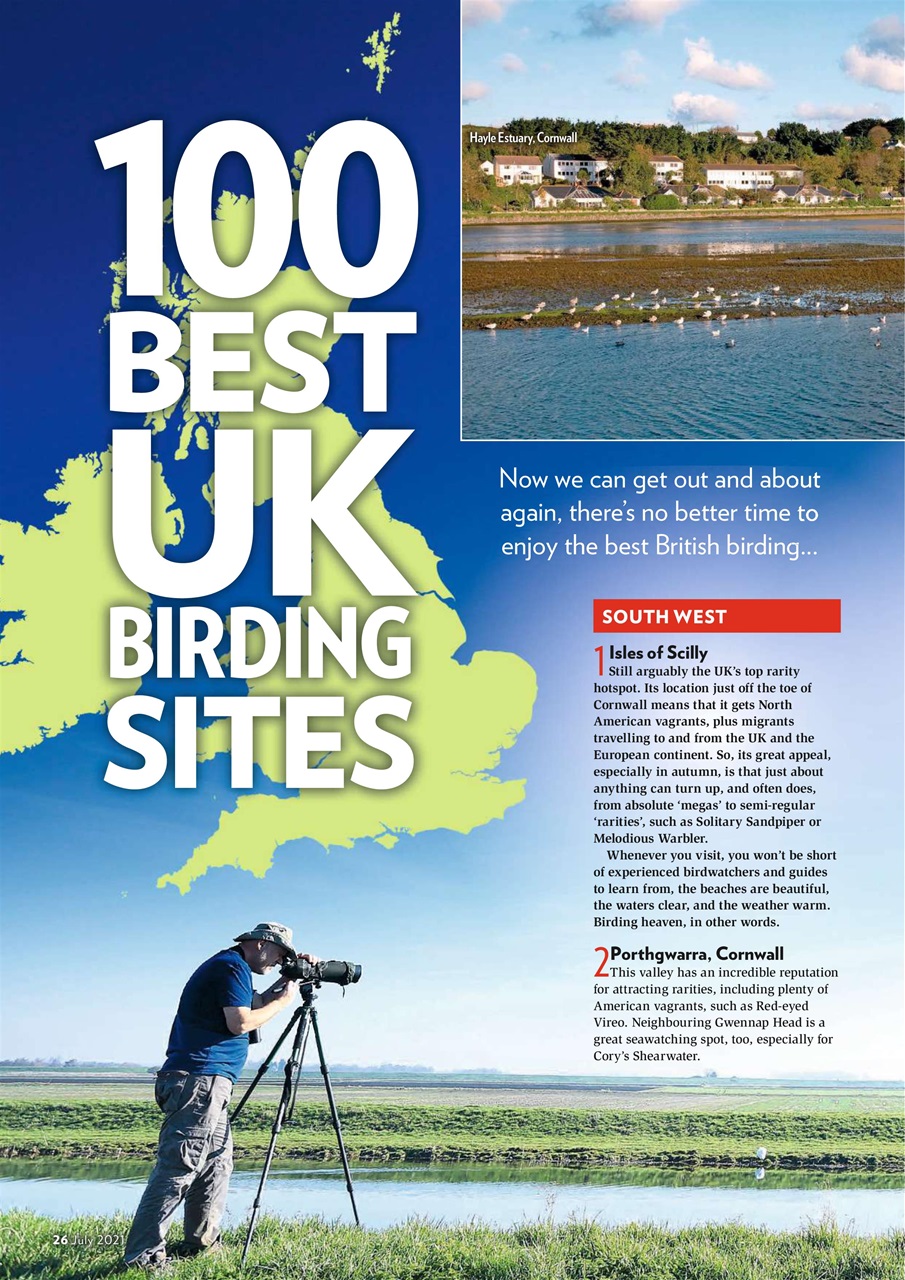 Bird Watching Preview Pages
