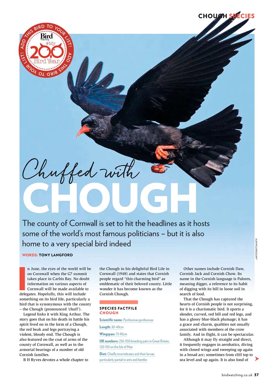 Bird Watching Preview Pages