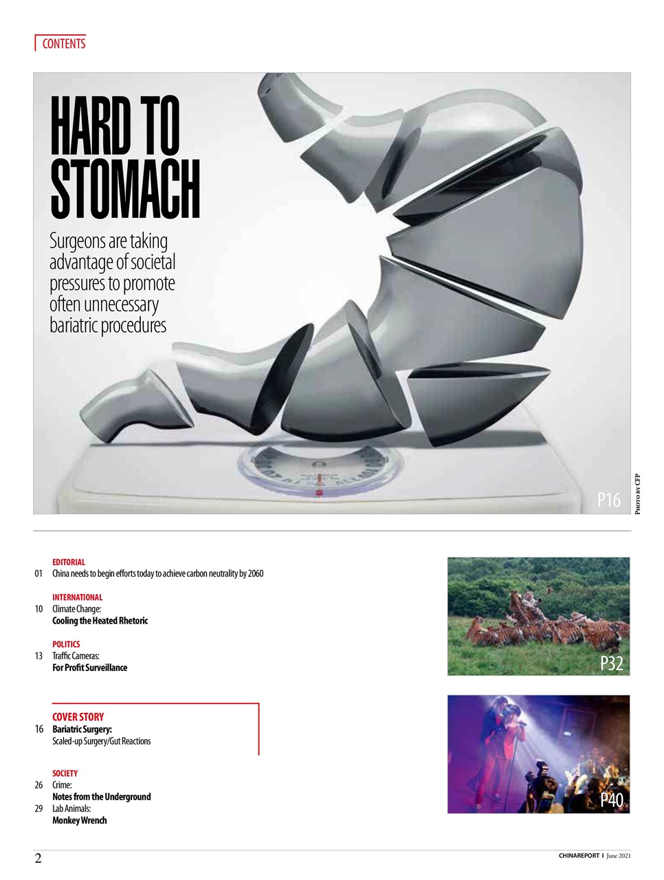 China Report Preview Pages