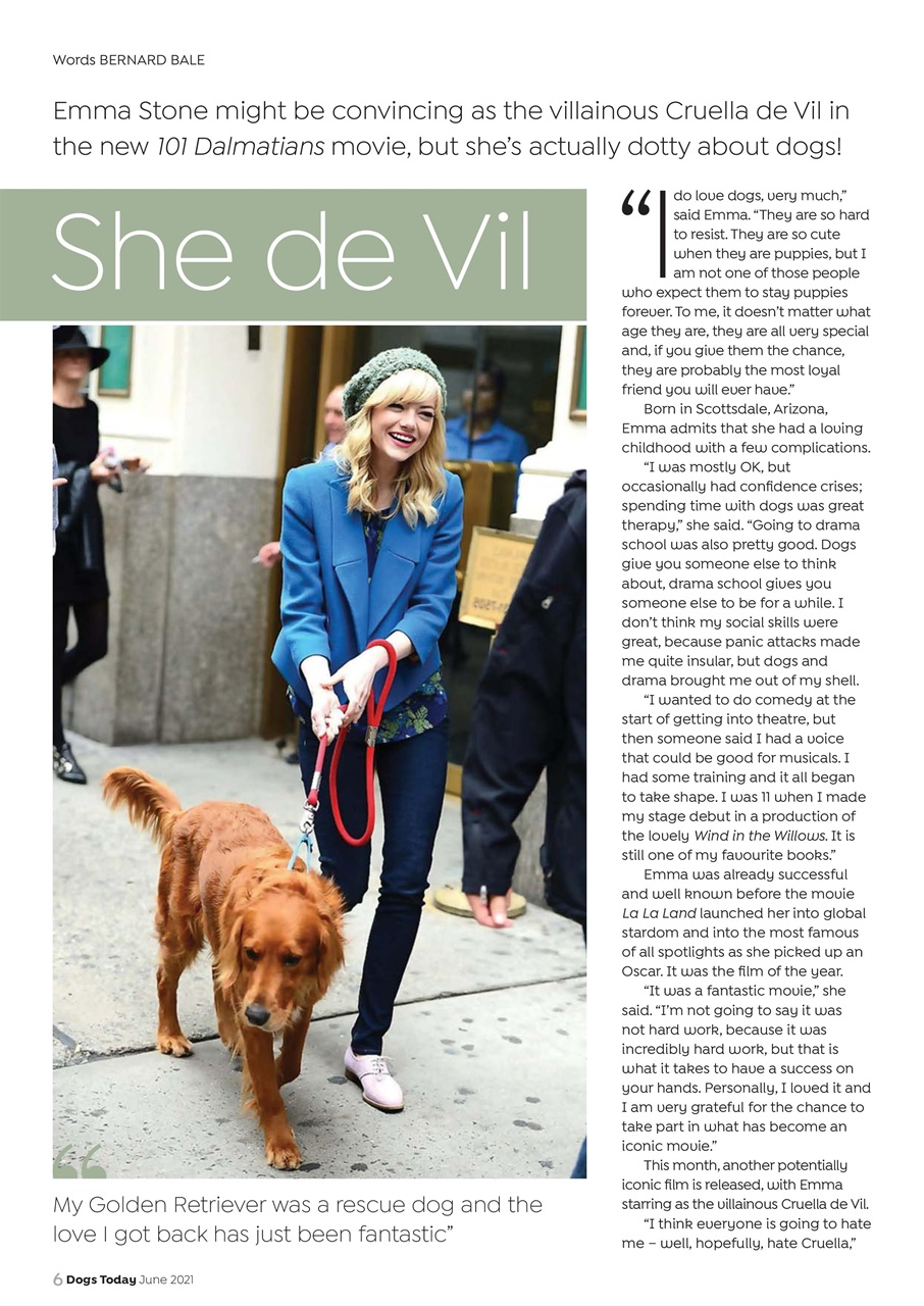 Dogs Today Magazine Preview Pages