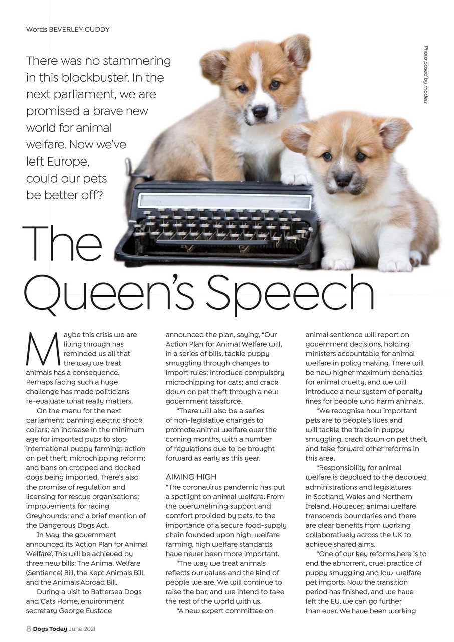 Dogs Today Magazine Preview Pages