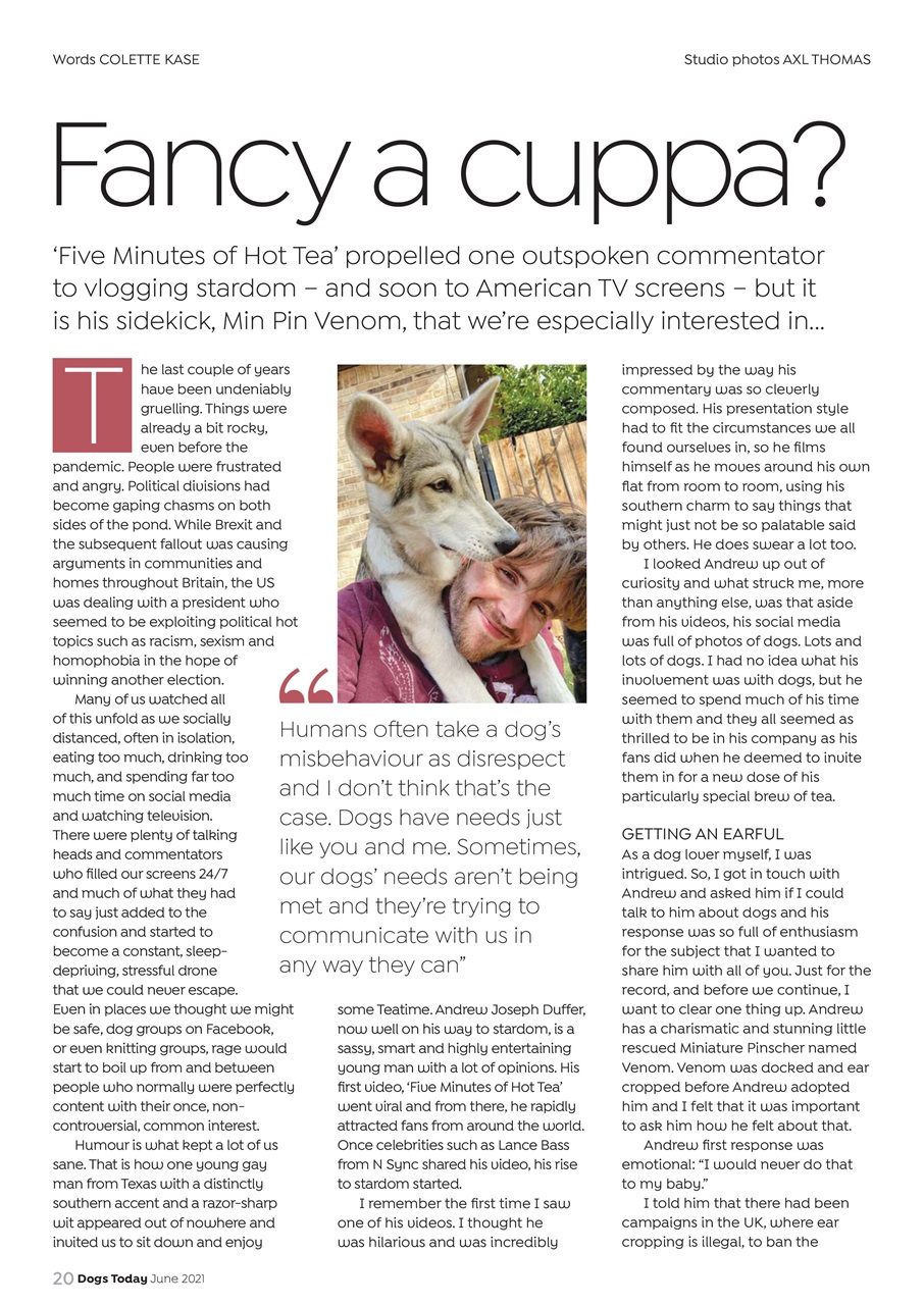 Dogs Today Magazine Preview Pages