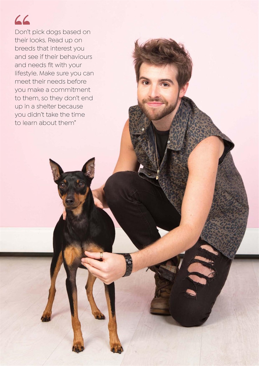 Dogs Today Magazine Preview Pages