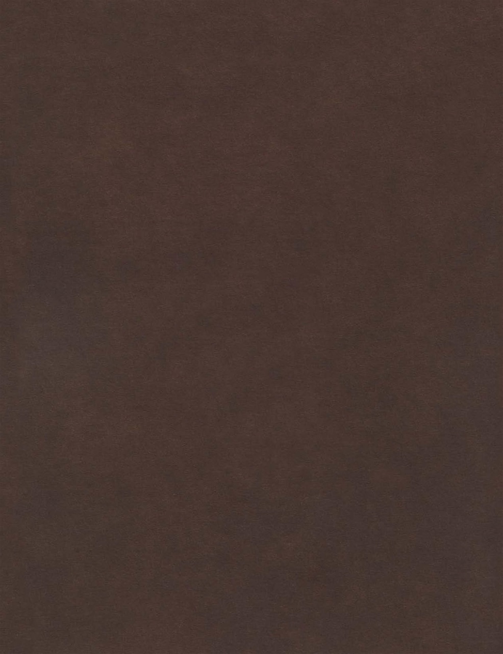 Double Gun Journal Preview Pages