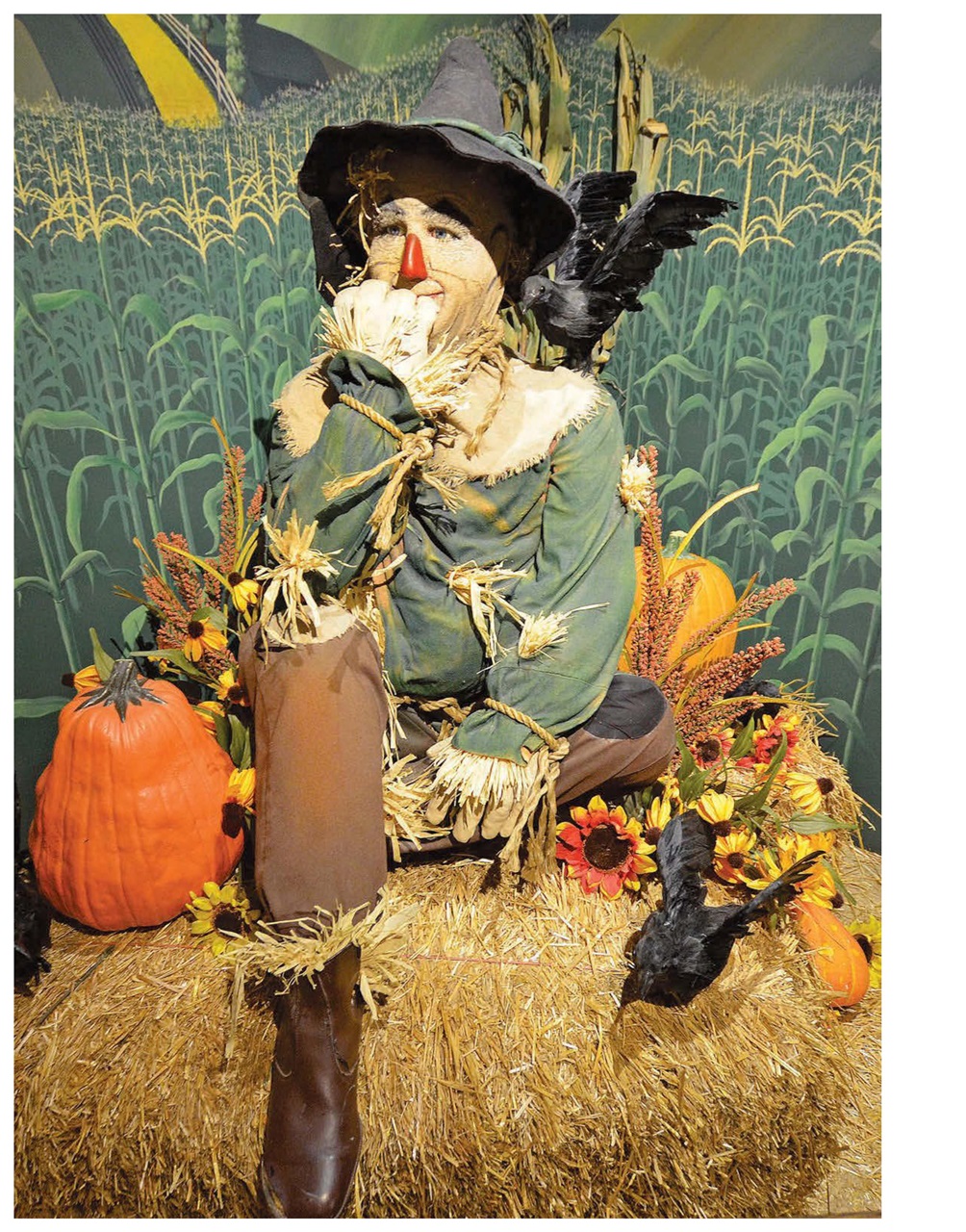 American Road Preview Pages