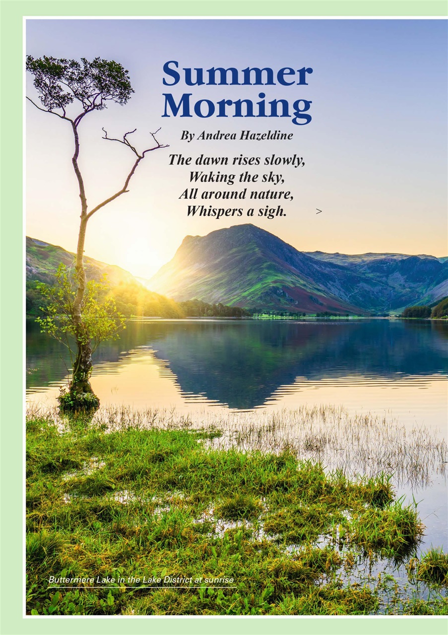 Evergreen Preview Pages