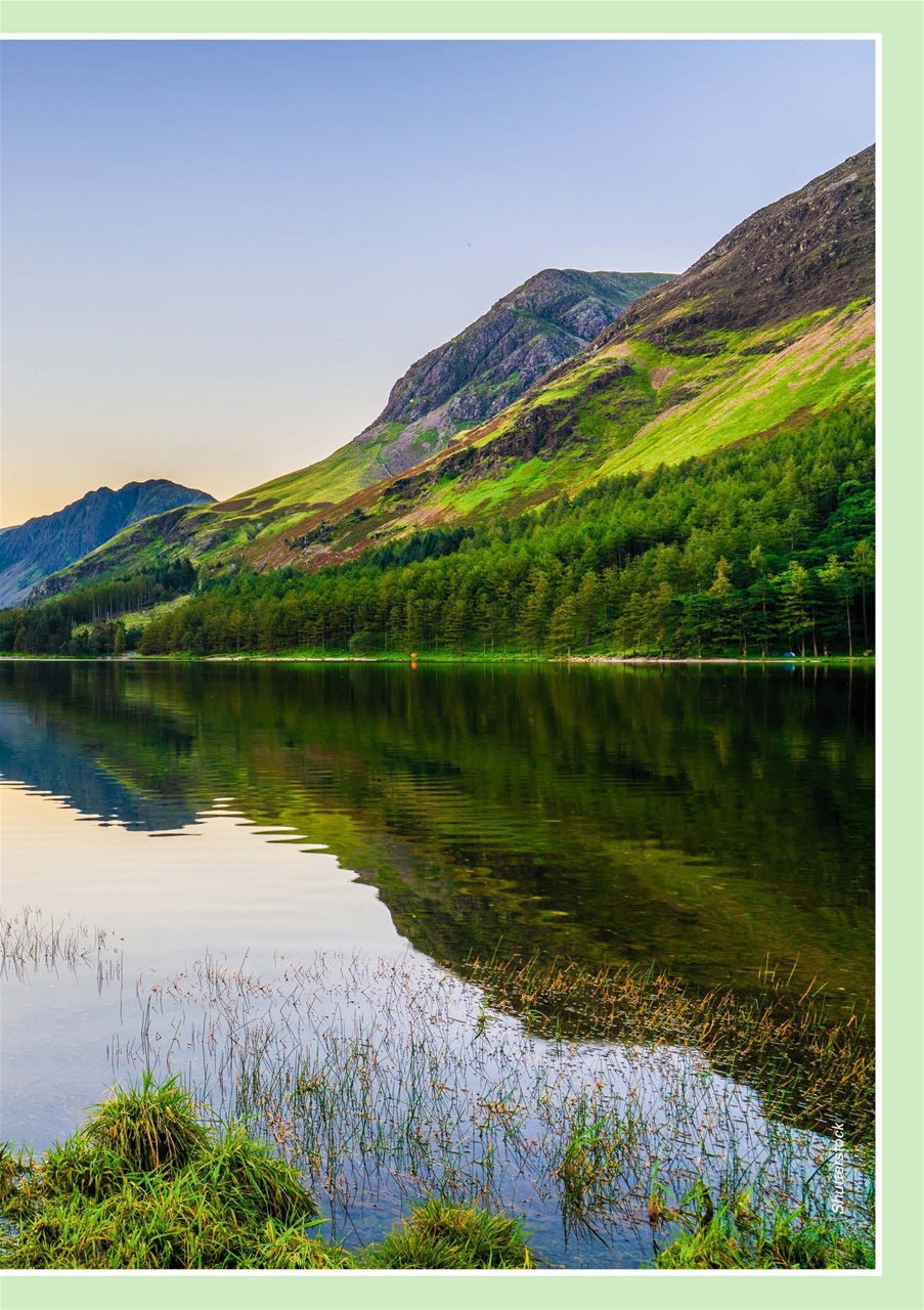 Evergreen Preview Pages