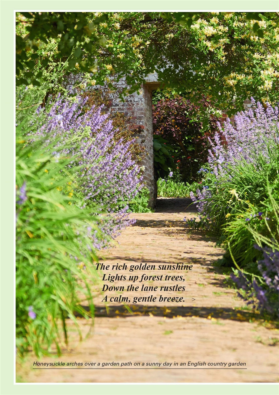 Evergreen Preview Pages