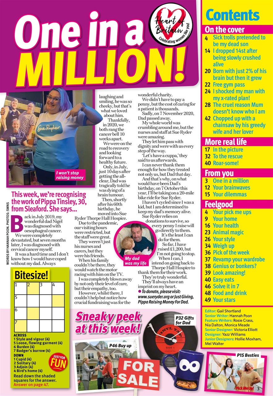 Pick Me Up Preview Pages