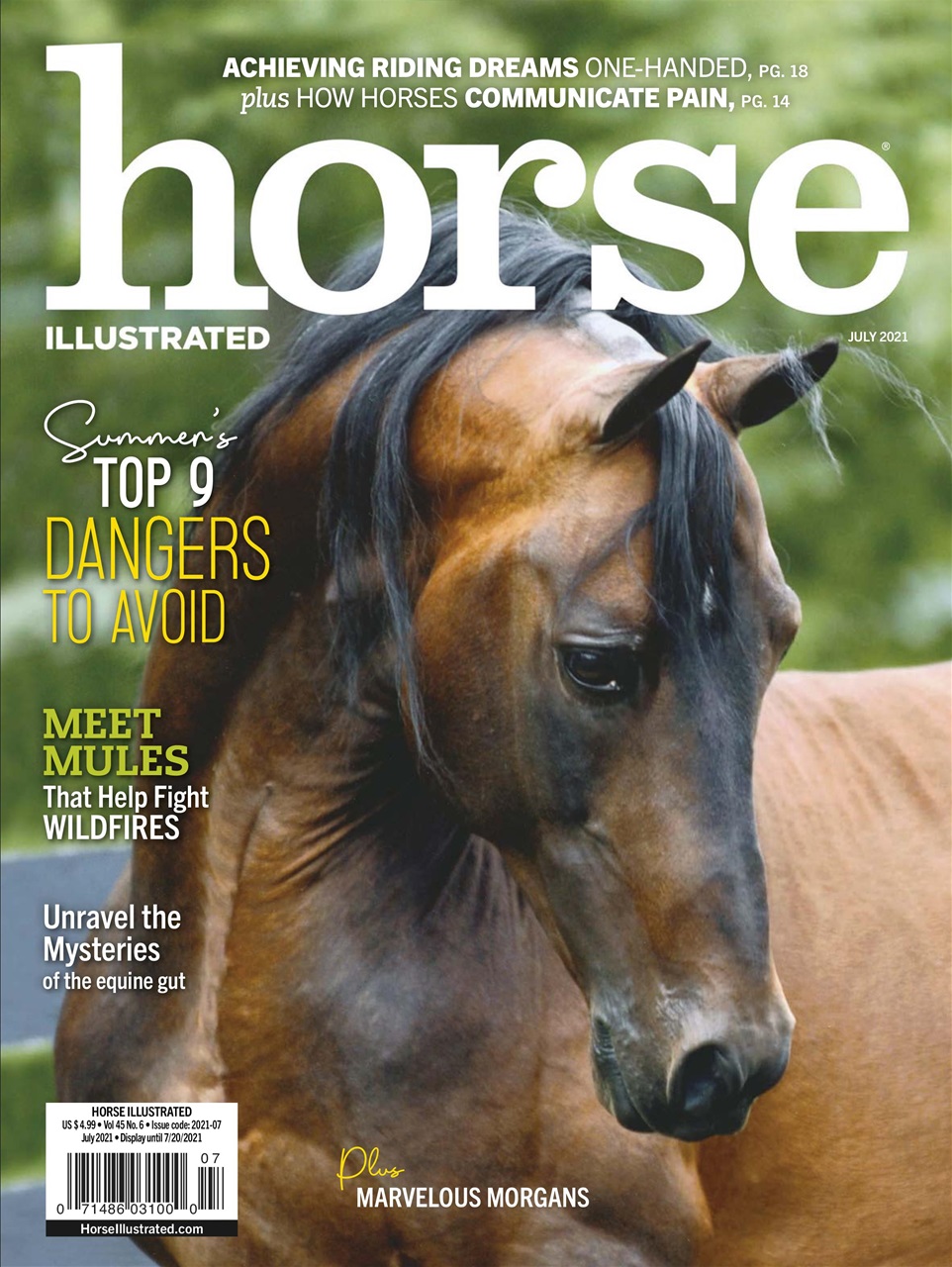 Horse Illustrated Magazine Preview Pages