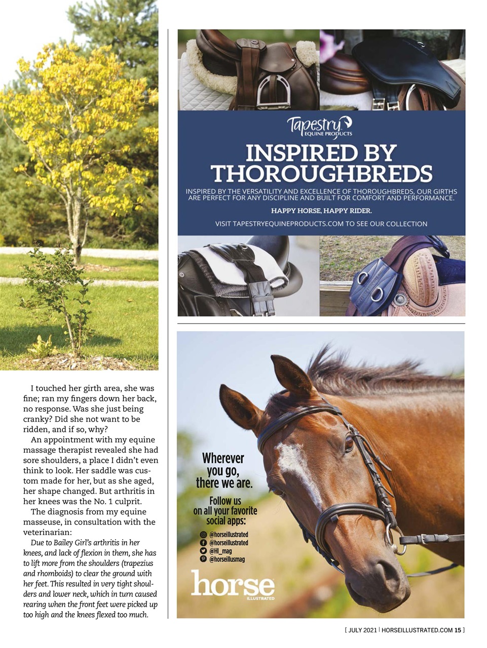 Horse Illustrated Magazine Preview Pages