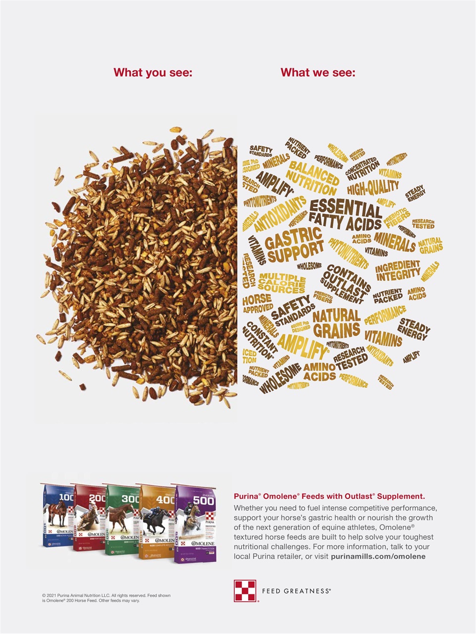 Horse Illustrated Magazine Preview Pages