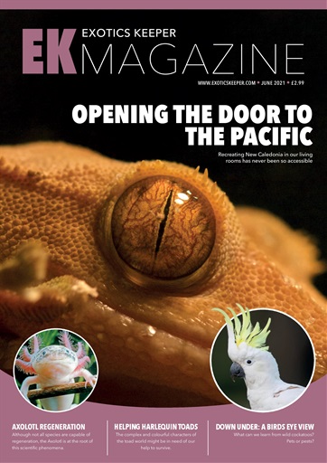 Exotics Keeper issue 