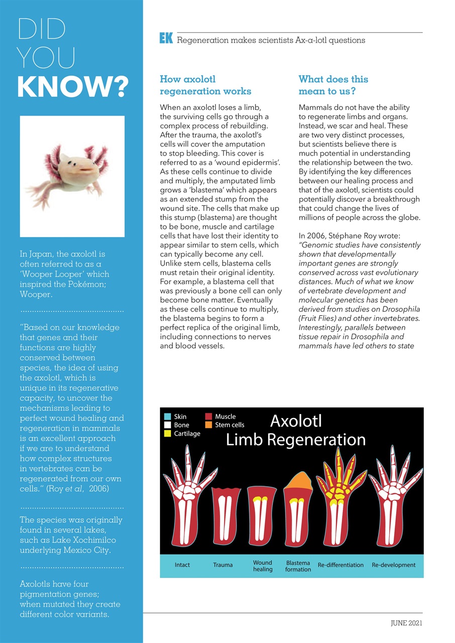 Exotics Keeper Preview Pages