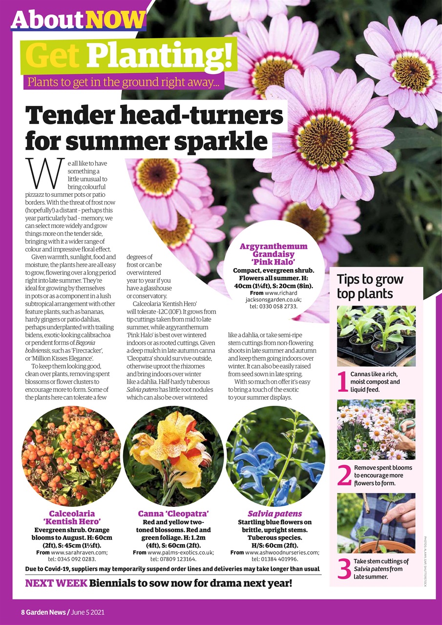 Garden News Preview Pages