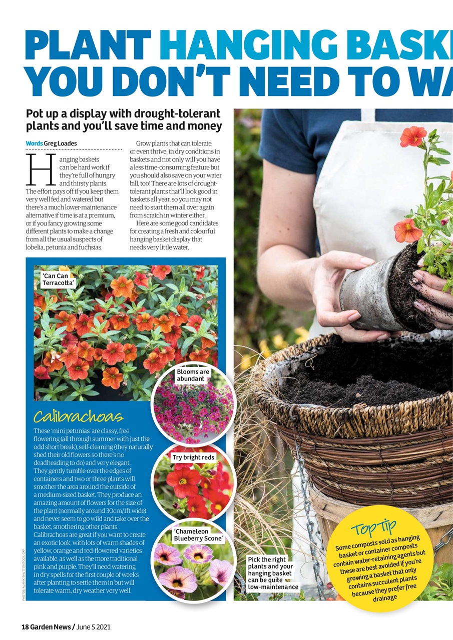 Garden News Preview Pages