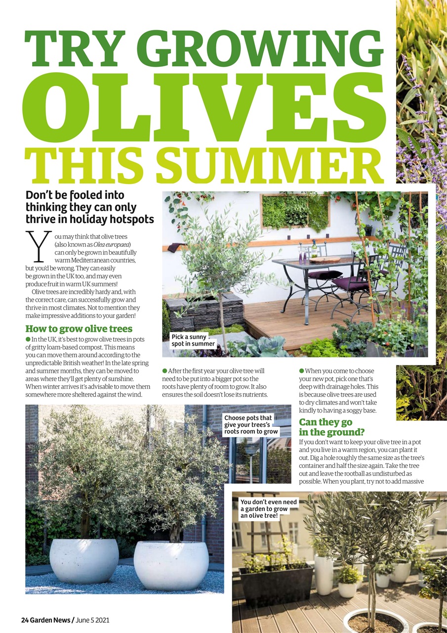 Garden News Preview Pages