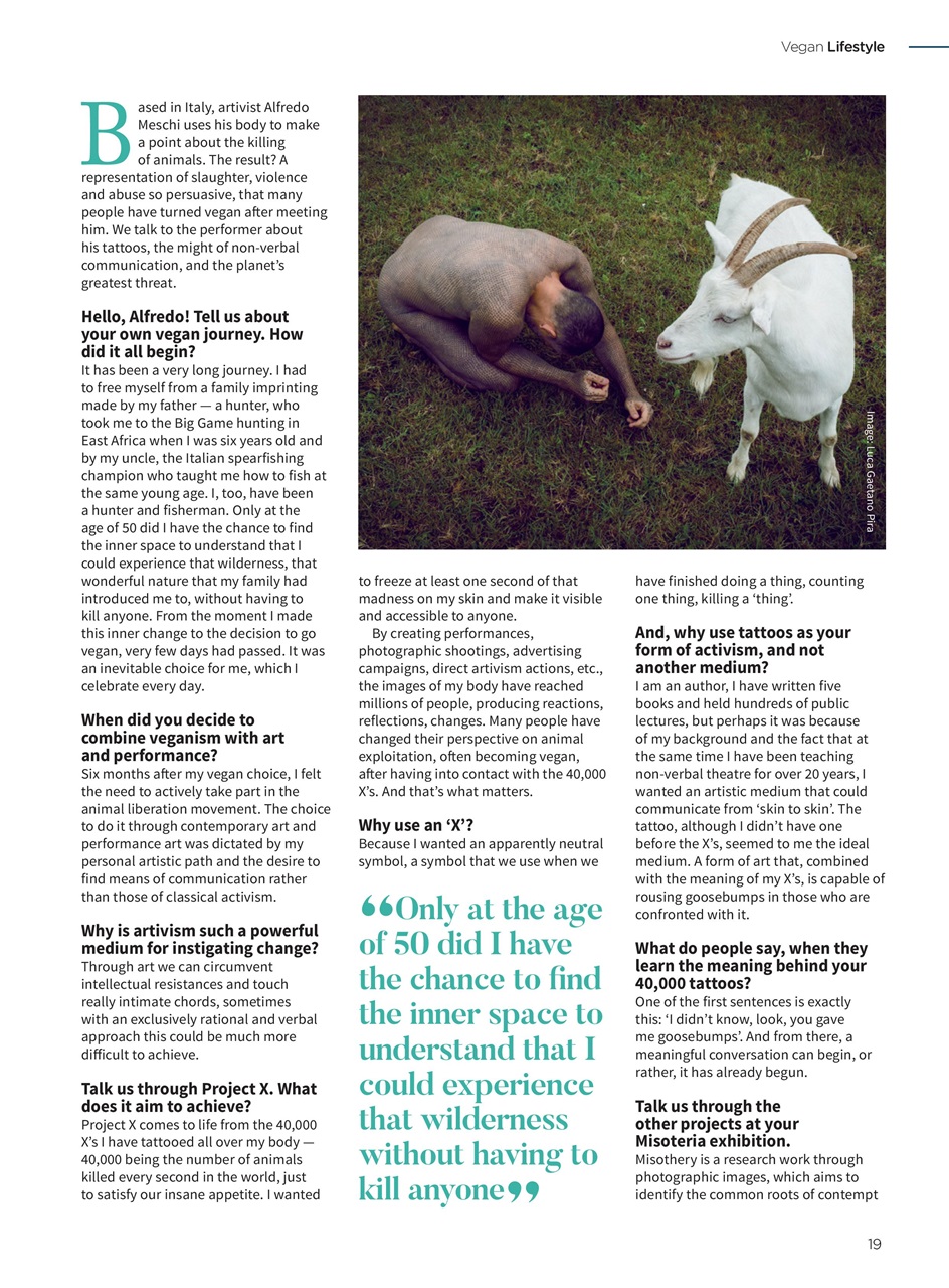 Vegan Life Preview Pages