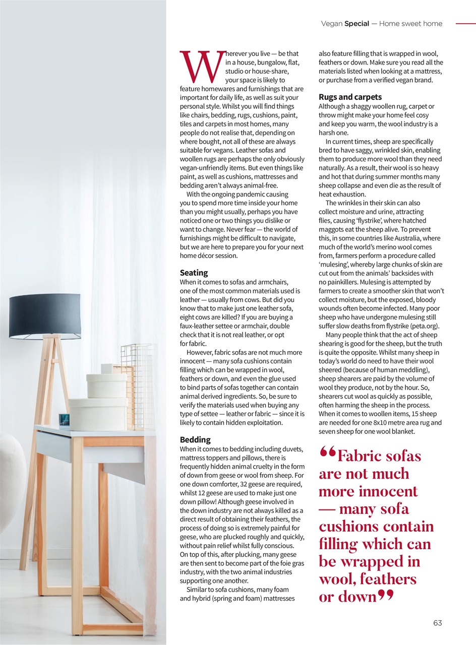 Vegan Life Preview Pages