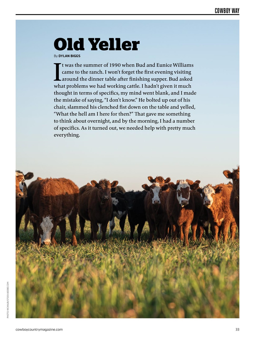 Canadian Cowboy Country Preview Pages